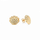 Plain Shell Stud Earrings – 18K Gold Plated | Studs Collection